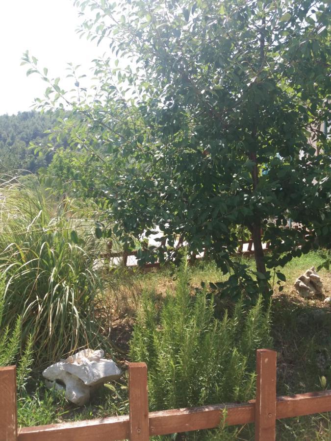 Banin Otel Skradin Dış mekan fotoğraf
